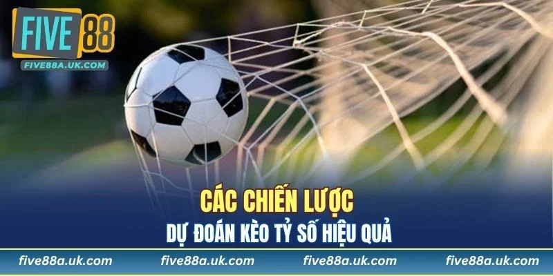 Thành viên cần xây dựng chiến lược hợp lý